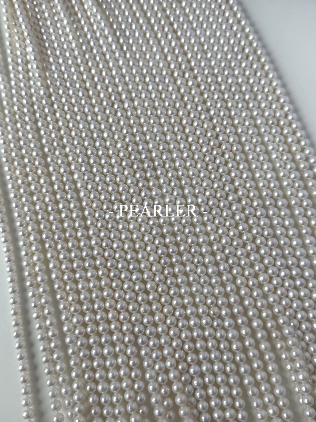 S__151388167_0