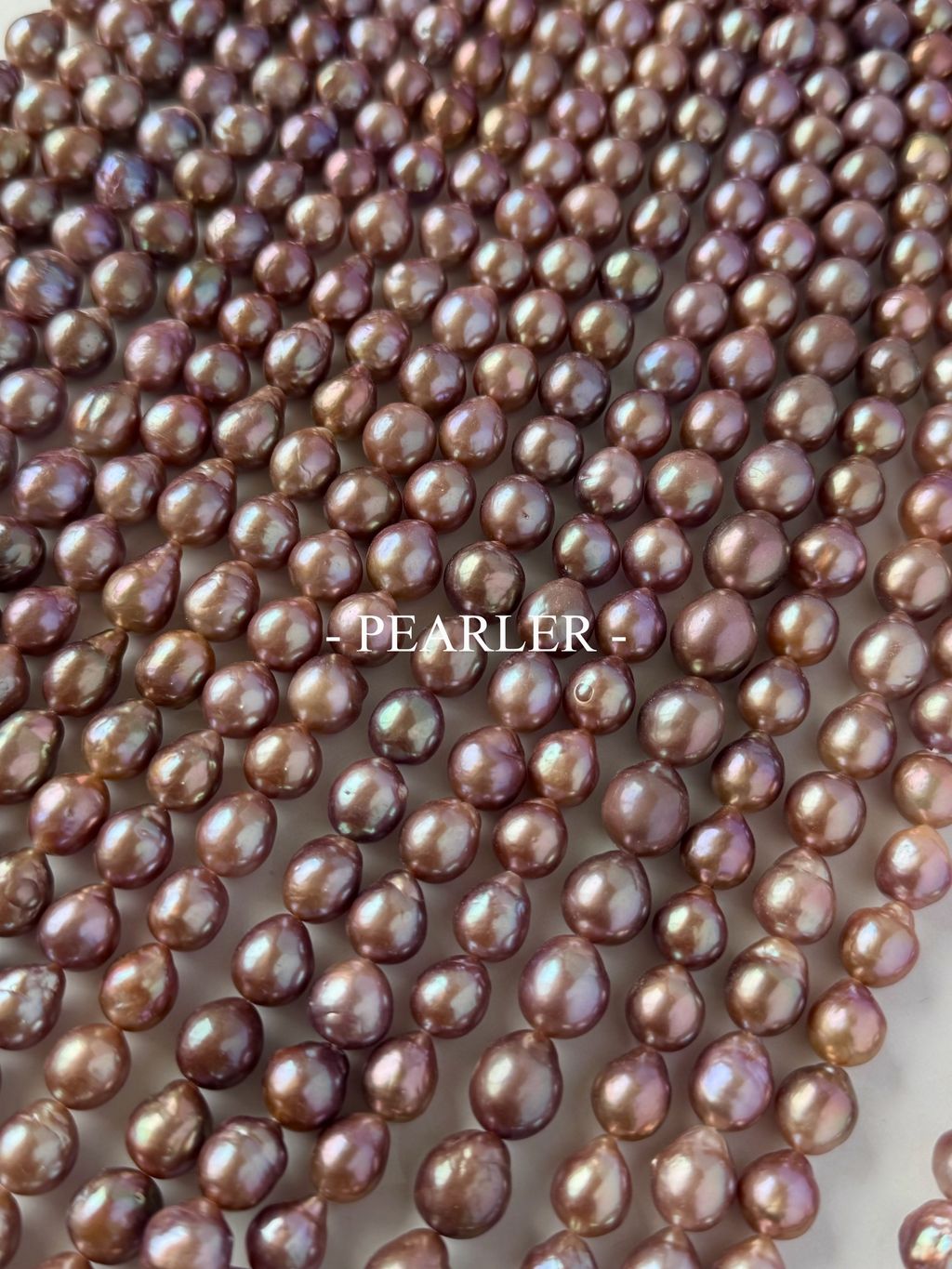 S__151388172_0
