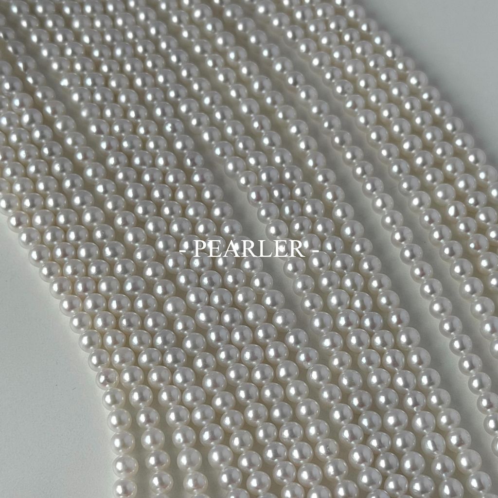 S__151388175_0