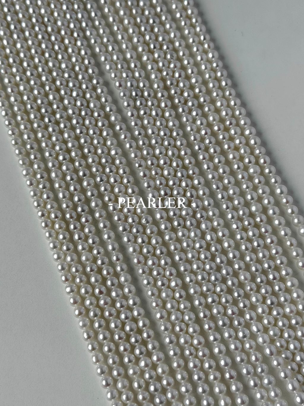S__151388178_0