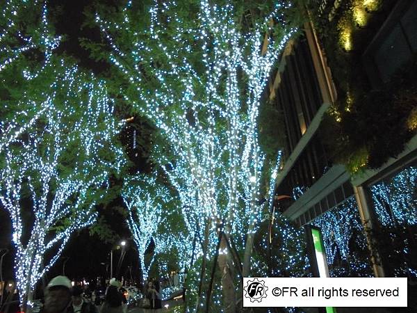 1763127477-3610188918-g_n