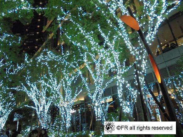 1763127477-726964125-g_n