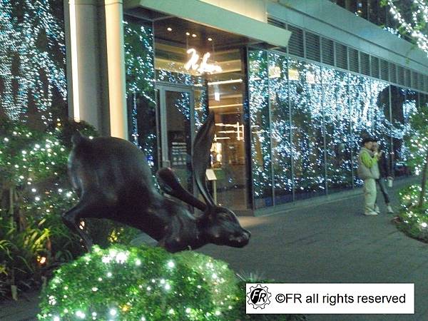 1763127477-4060694904-g_n