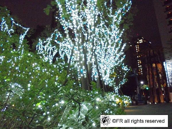 1763127478-463090177-g_n