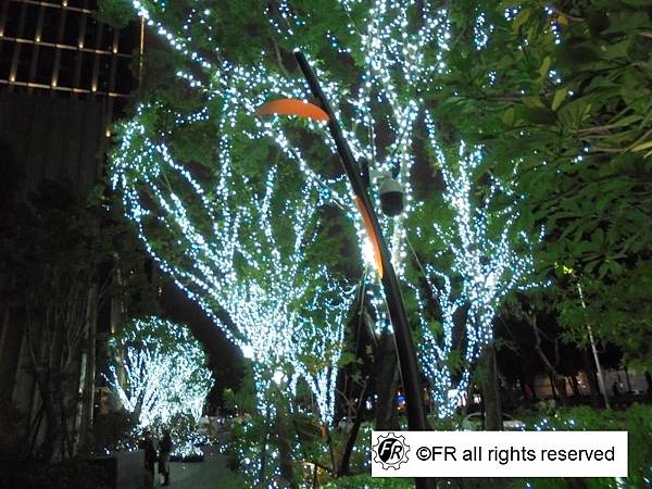 1763127478-2299999801-g_n