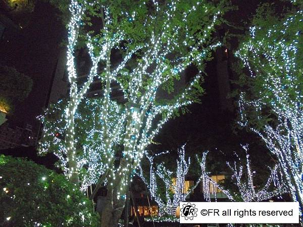 1763127478-1945932430-g_n