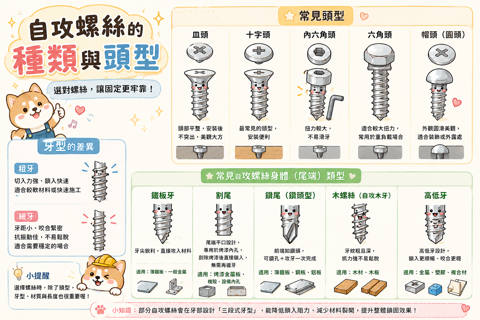 自攻螺絲種類與頭型-示意圖