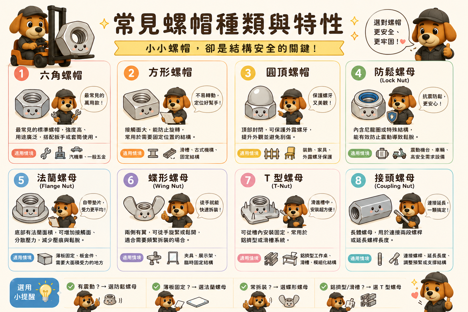 常見螺帽種類與特性-示意圖