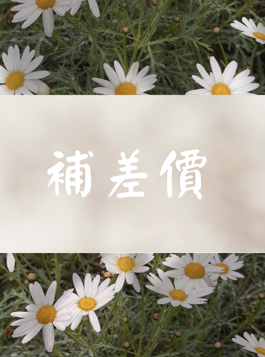 image_38F124AA-8CAB-418A-992D-913A959822CF_1774508786