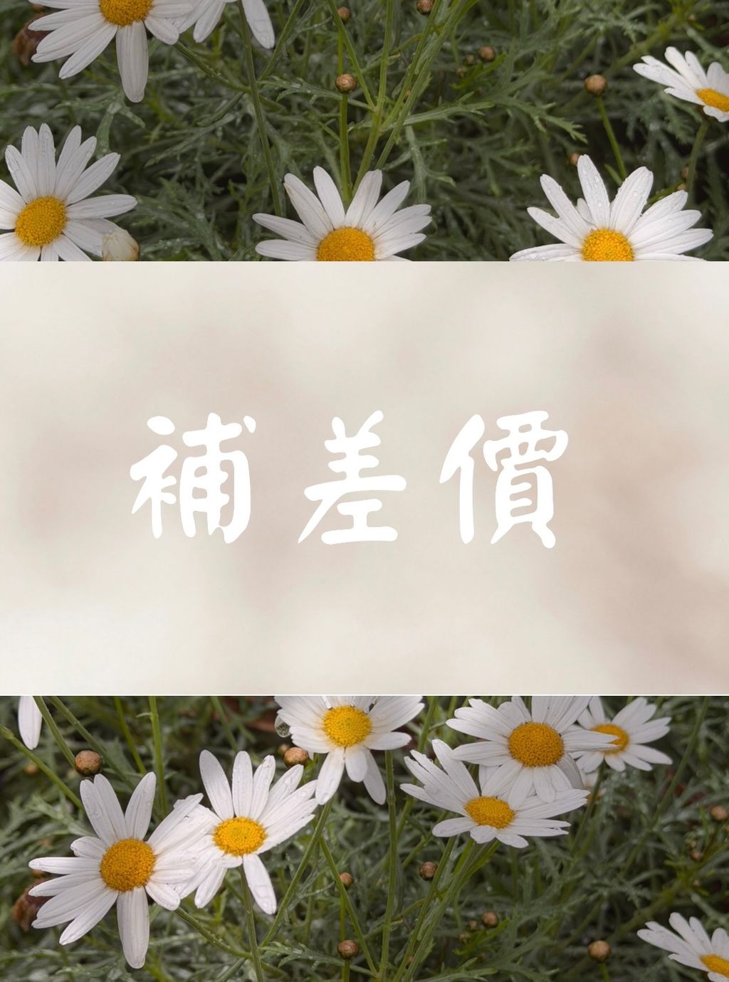 image_38F124AA-8CAB-418A-992D-913A959822CF_1774508786