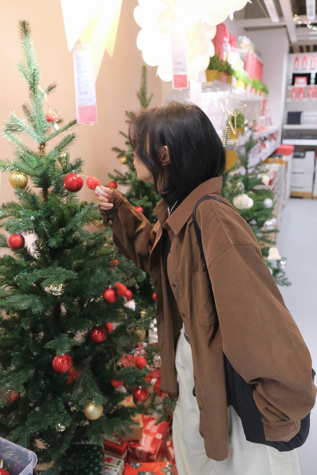 IMG_2455-1732626374413