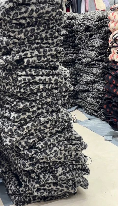 IMG_8349-1734512948845