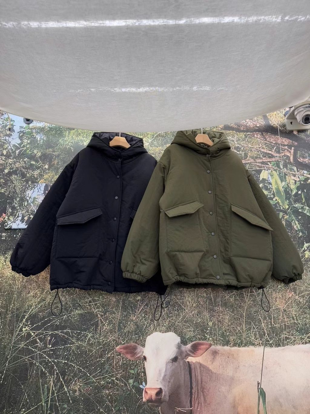 IMG_0714-1735634305435