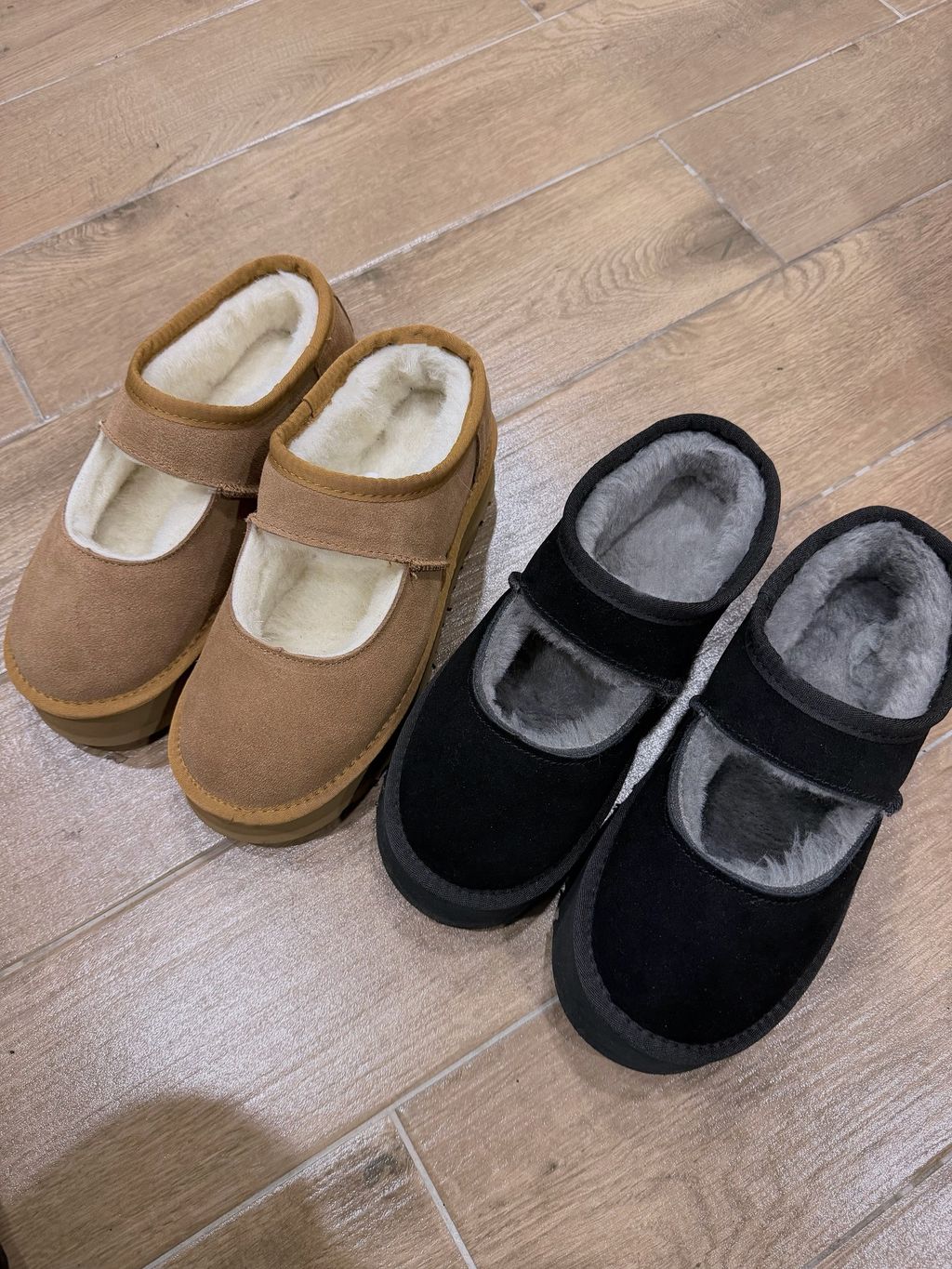 image_570818FB-7FB2-4CA9-BAF4-691767D91527_1765125930