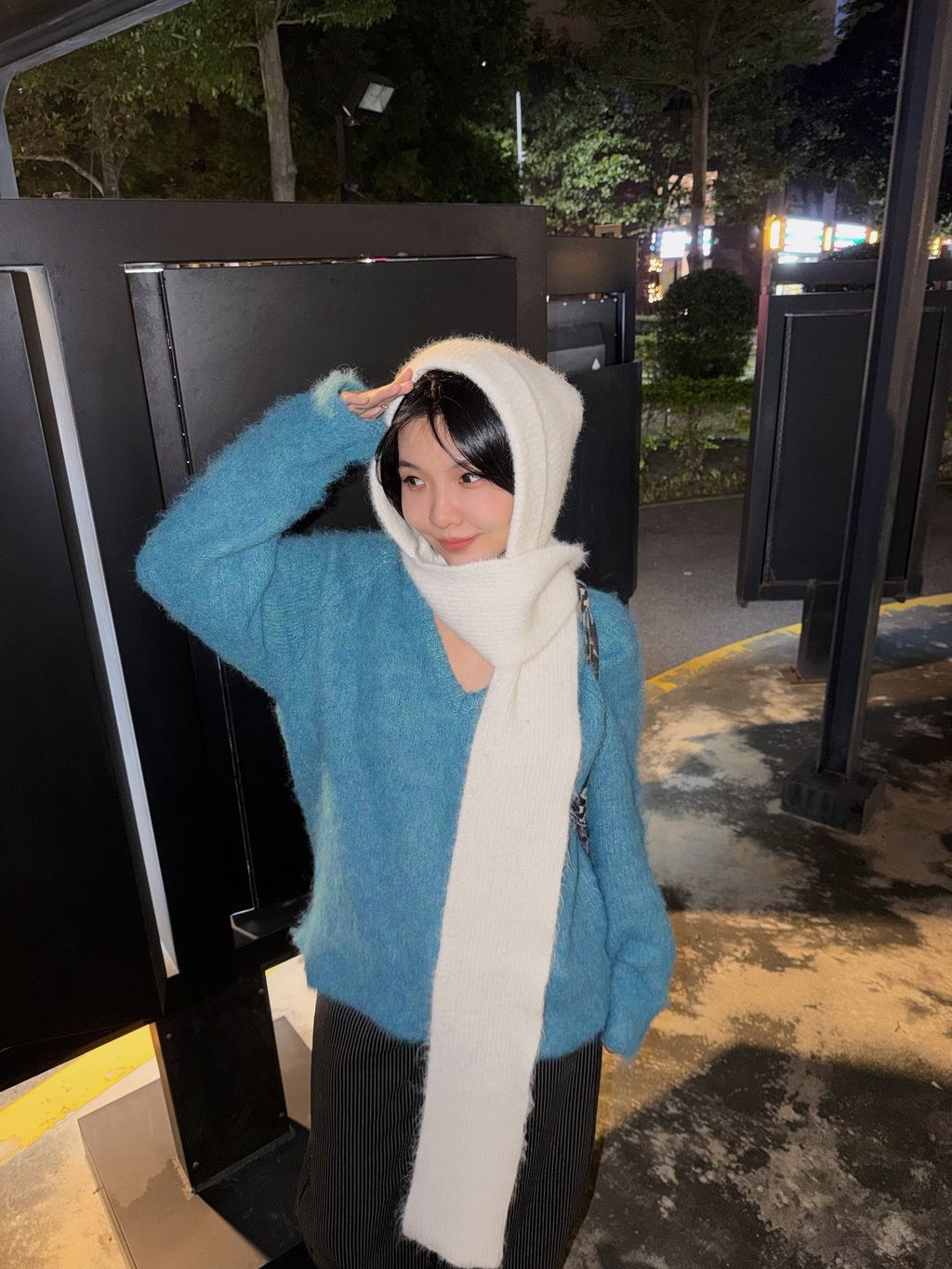 image_E02EE863-0F6C-4461-A28A-7DDF00A31549_1765998494