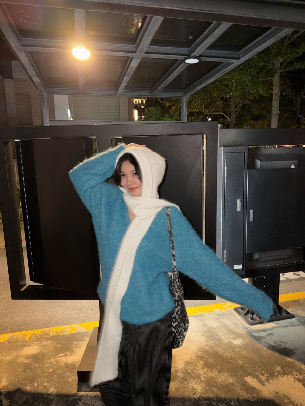 image_2EF958F2-06F7-47E0-B709-661B18DCFD0A_1765998494