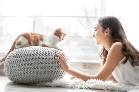 young-cat-owner-playing-with-her-pet-at-home_Africa-Studio_Shutterstock