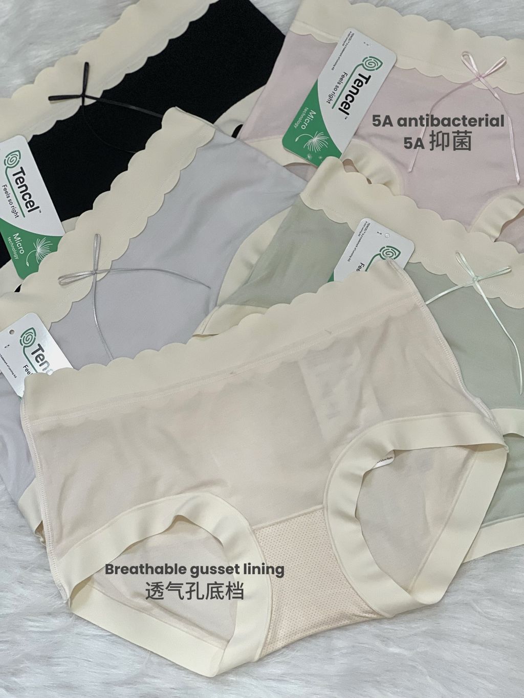 IMG_1262-1736057171499