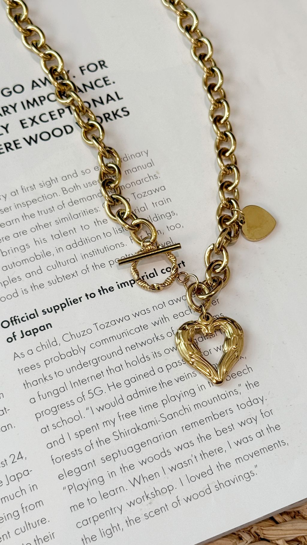 image_7758A9A4-C4CC-4BFF-BC57-3EE3AAD172F1_1765960594