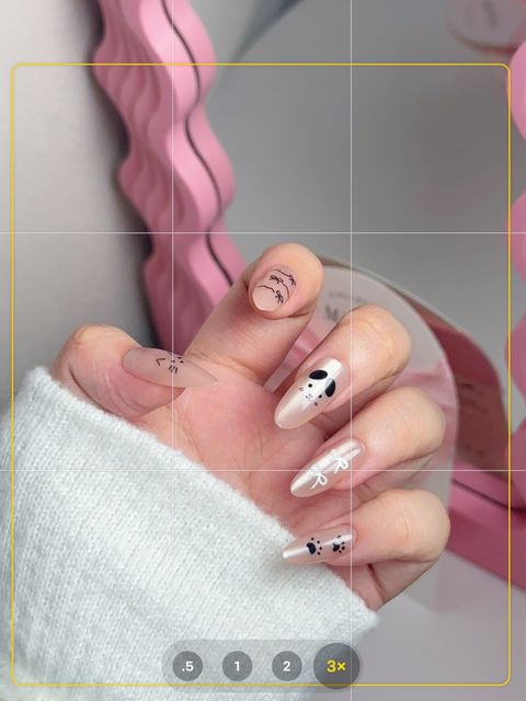 IMG_6986-1736490298610