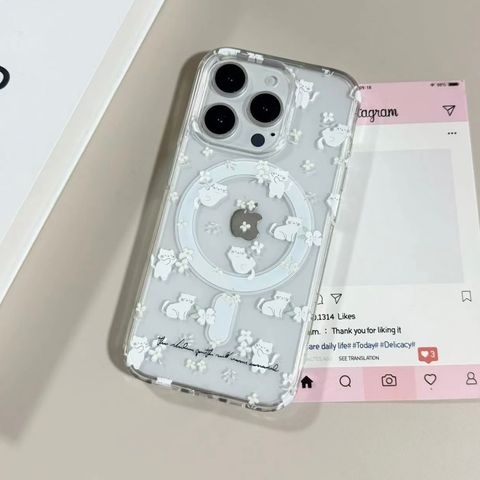 IMG_7287-1740738226003