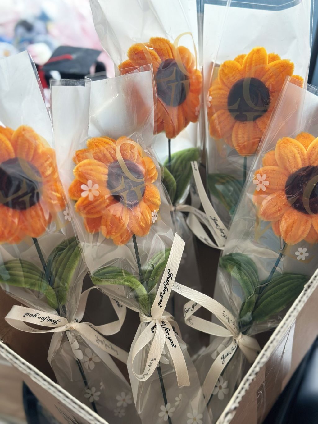 image_BD085CF6-E293-46D0-92A5-BE712B92A56F_1742032619