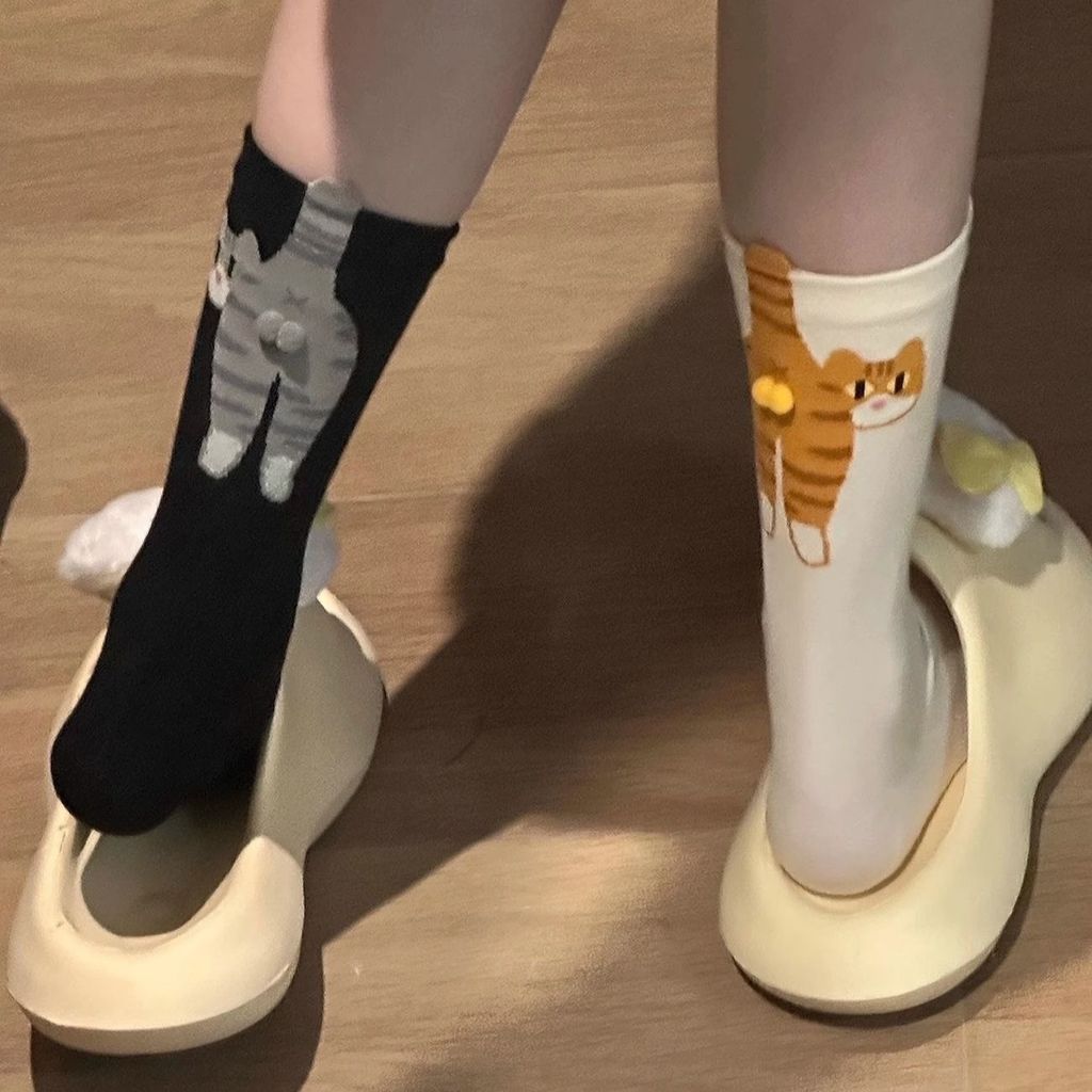 image_A4470169-9462-4602-9178-E2D0329FDE82_1769788287