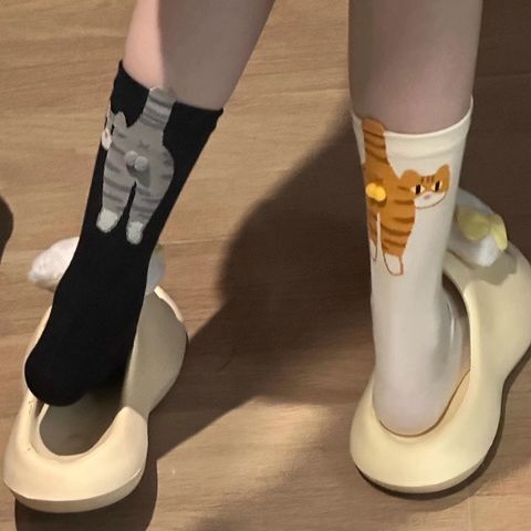 image_A4470169-9462-4602-9178-E2D0329FDE82_1769788287