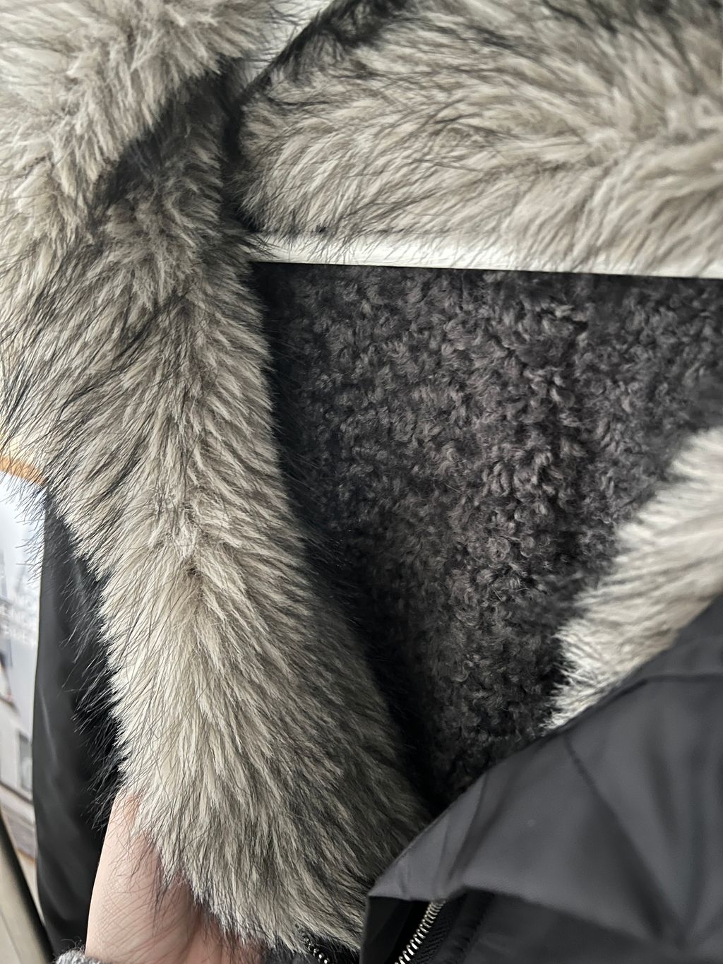 IMG_0792-1736526018604