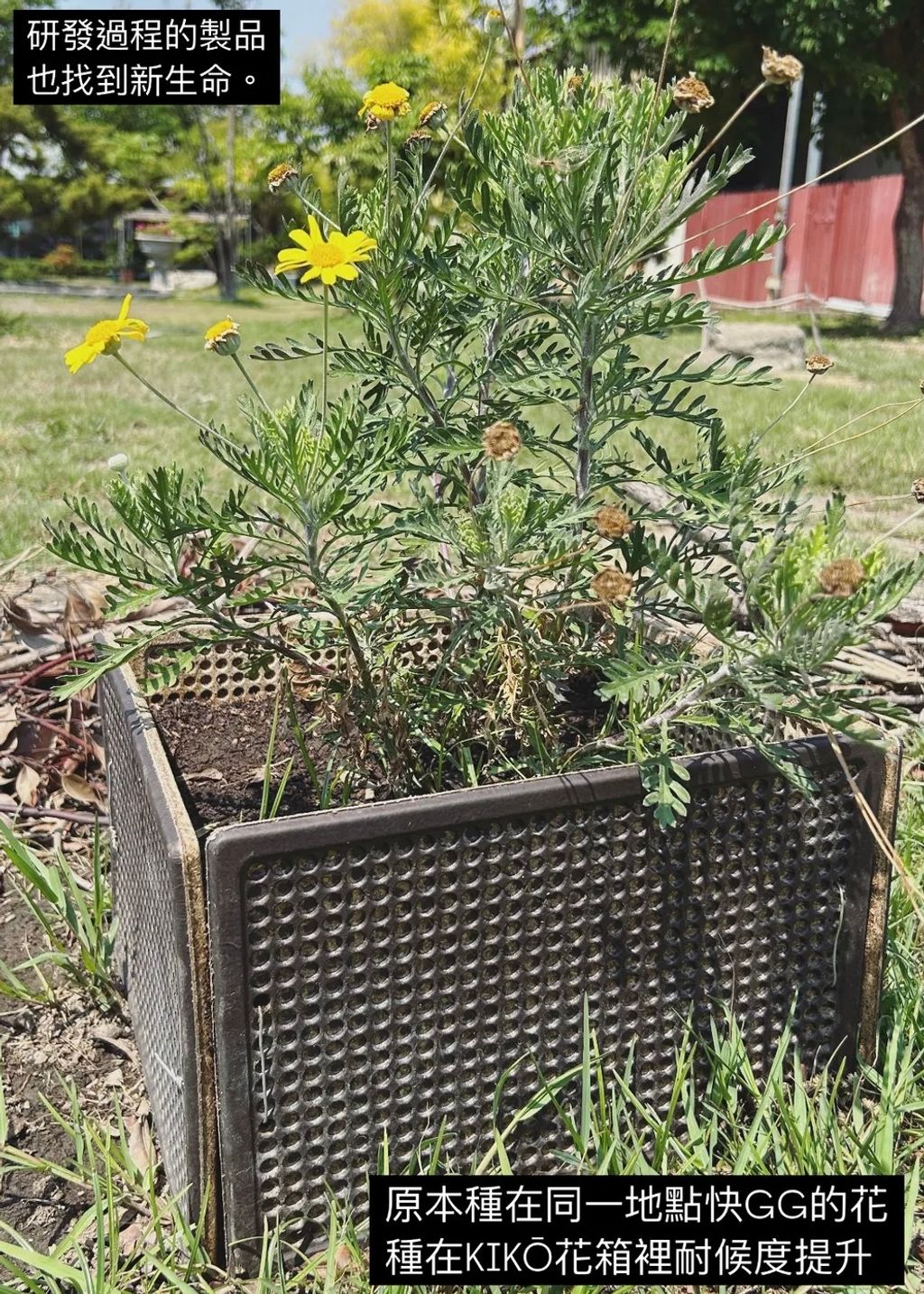 image_F68D96E0-E924-4D14-A492-1FA6275DFB5B_1773239266