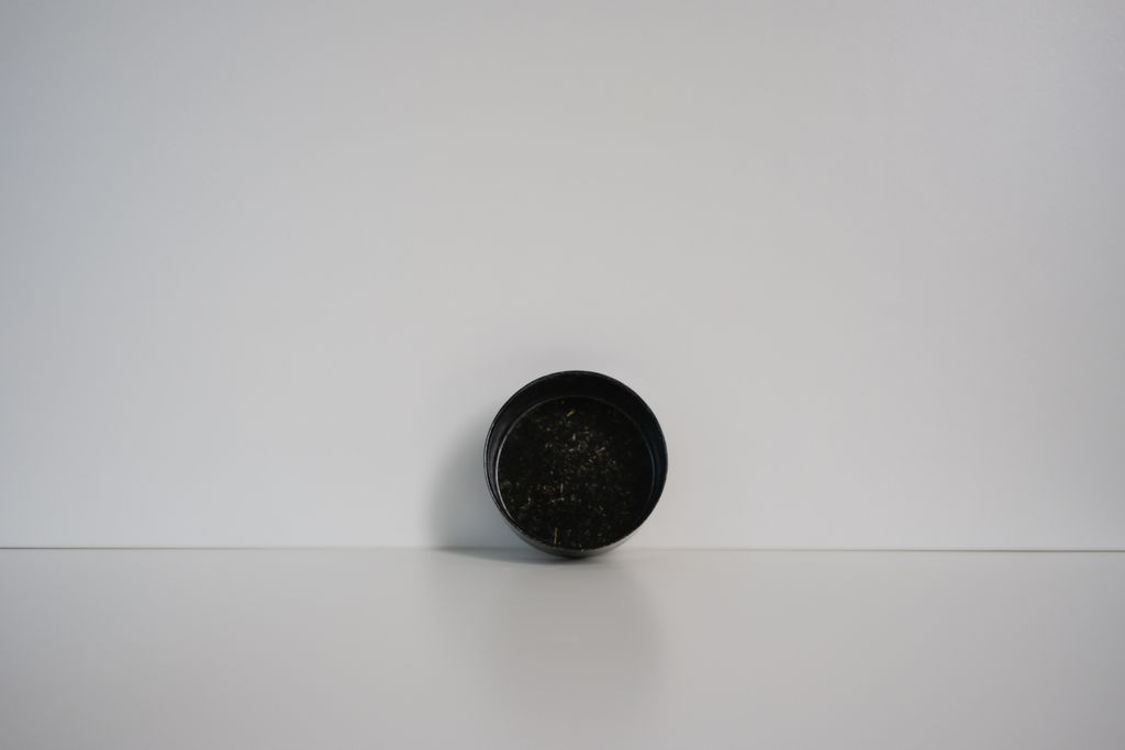 DSCF7666