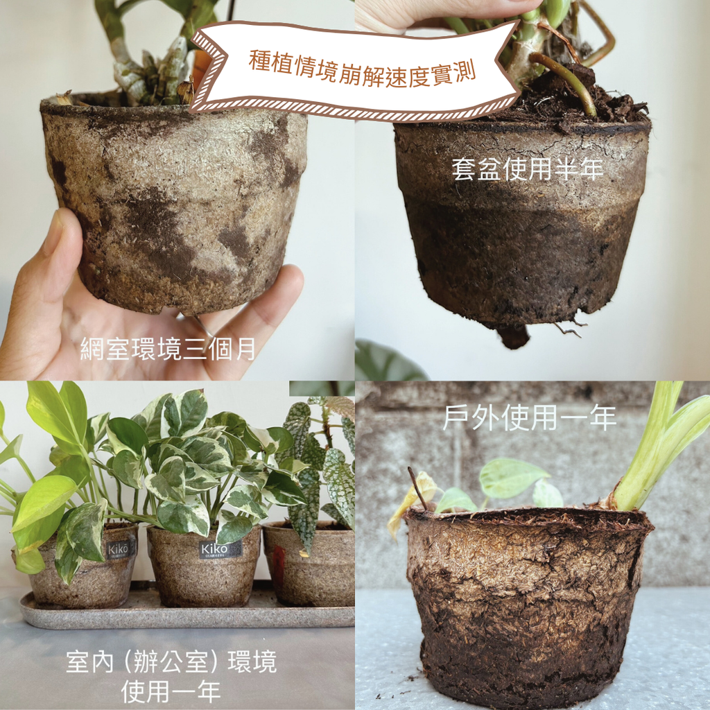 不同環境崩解速度實測