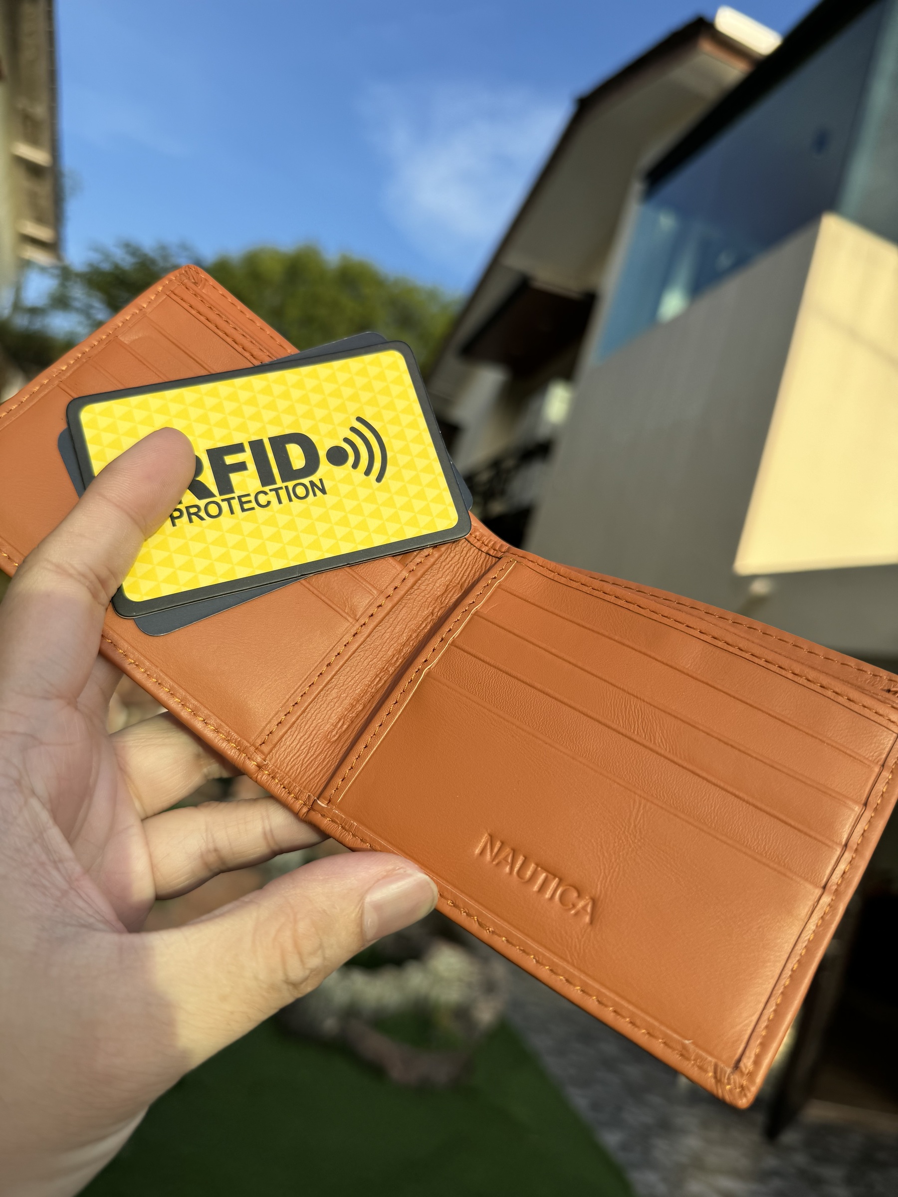 IMG_2229-1712574097775