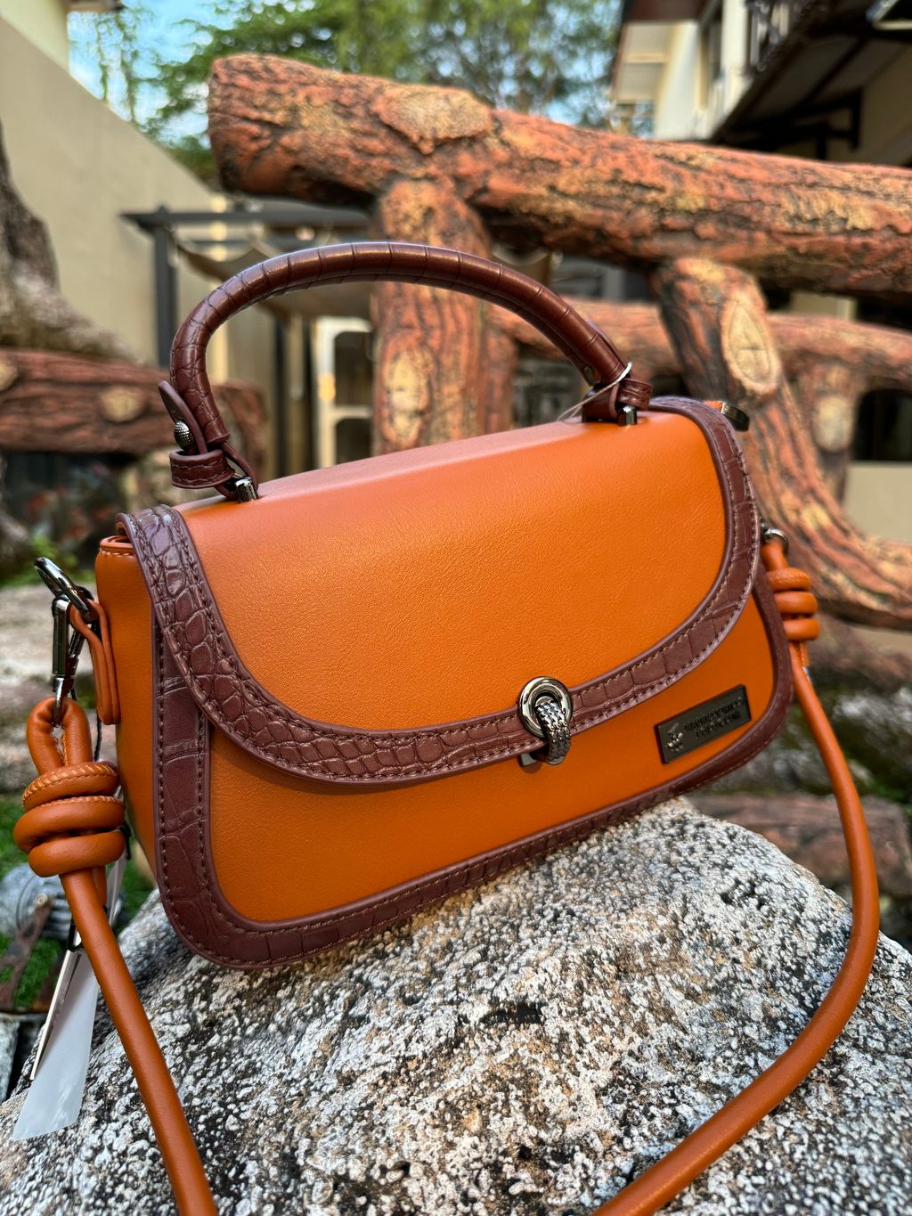 IMG_2560-1713471748750