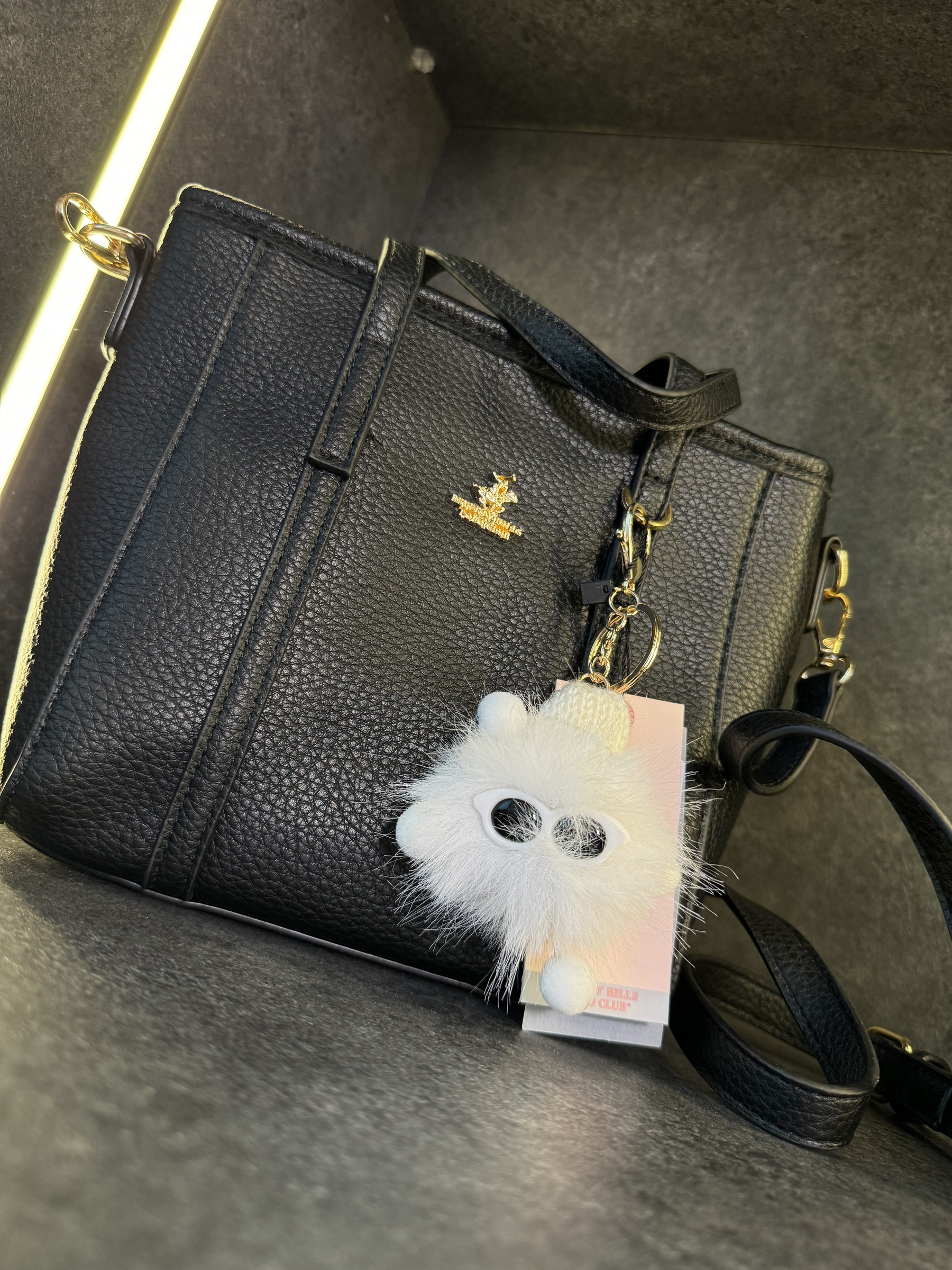 IMG_2909-1714886466771