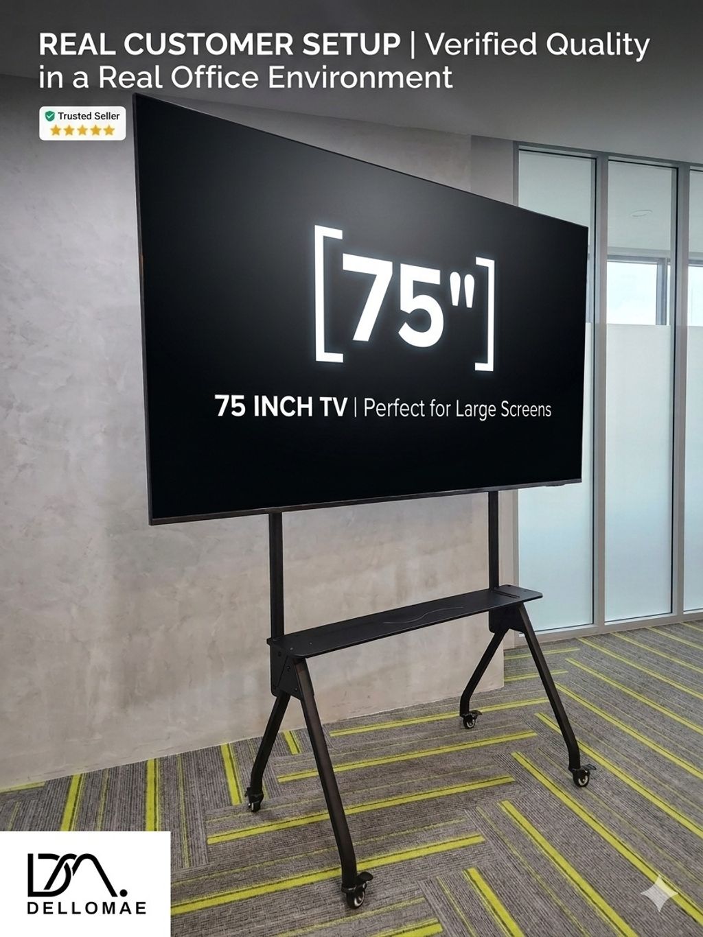 3288.1 DELLOMAE DE100 75 inch TV Setup