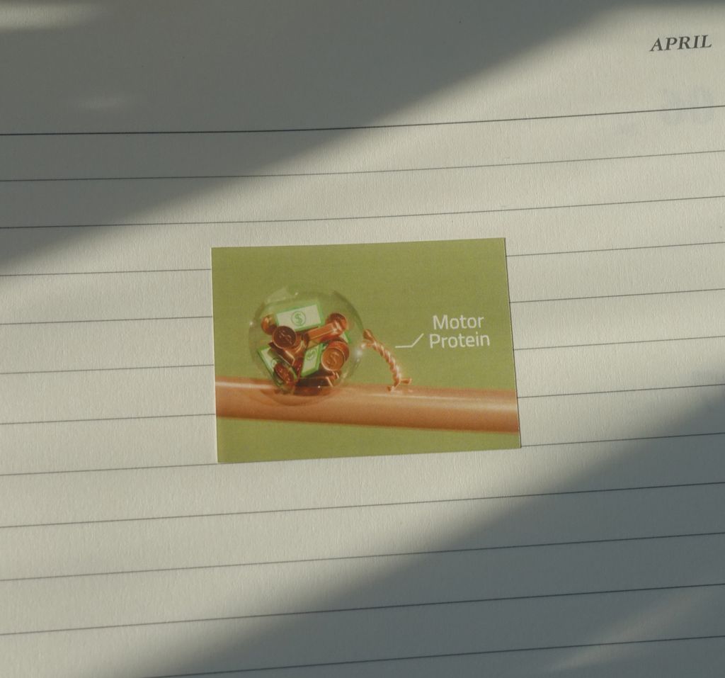 postcard motor sticker4