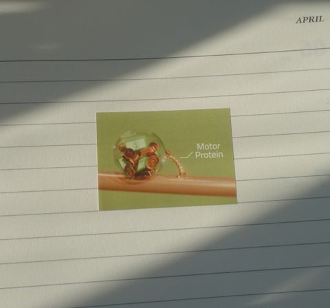postcard motor sticker4