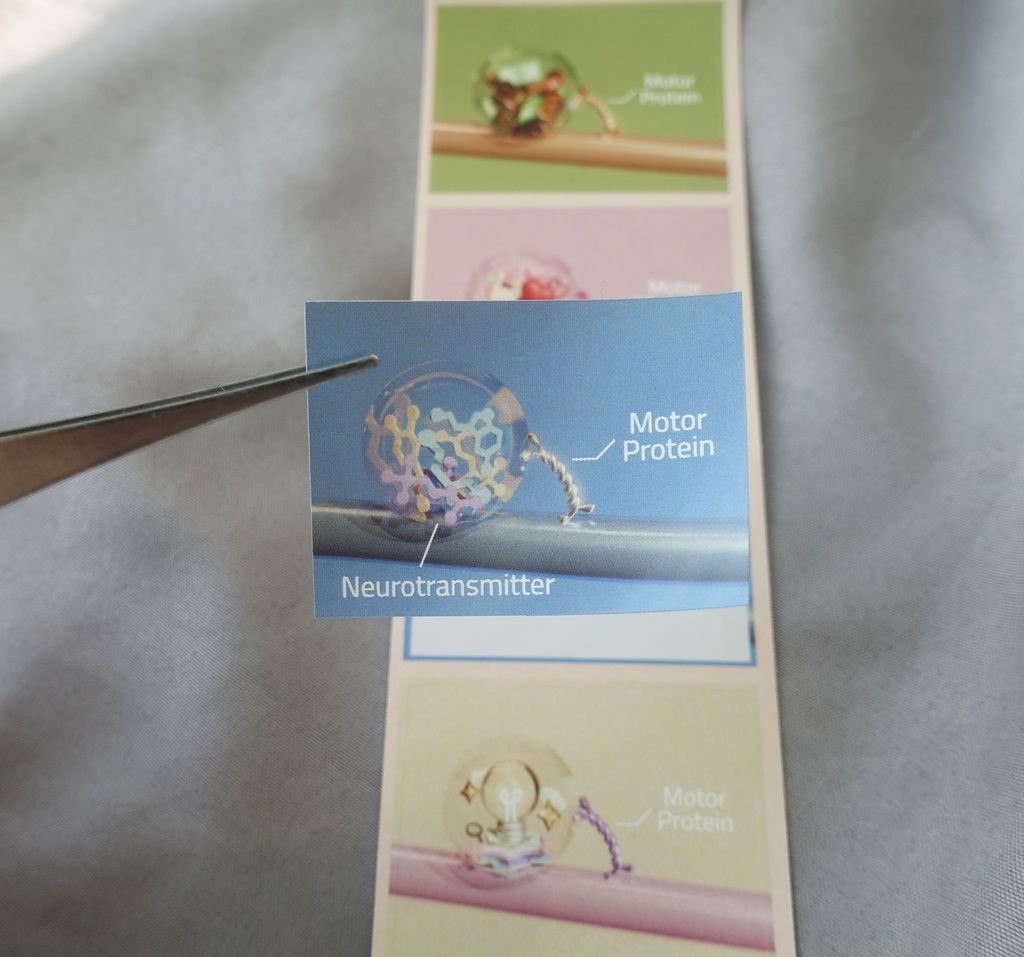 postcard motor sticker3