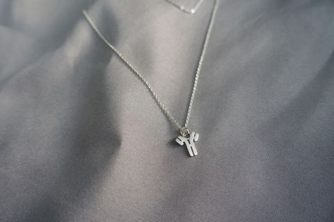 抗體純銀項鍊 拷貝