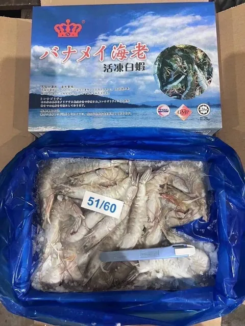 85EFEC8B-D24E-47FE-B135-658397BA1443
