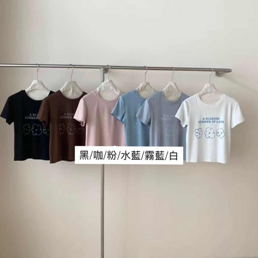 S__40509780
