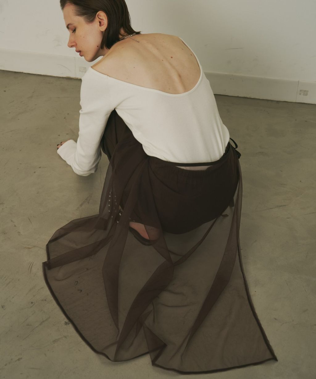 S__43532490_0