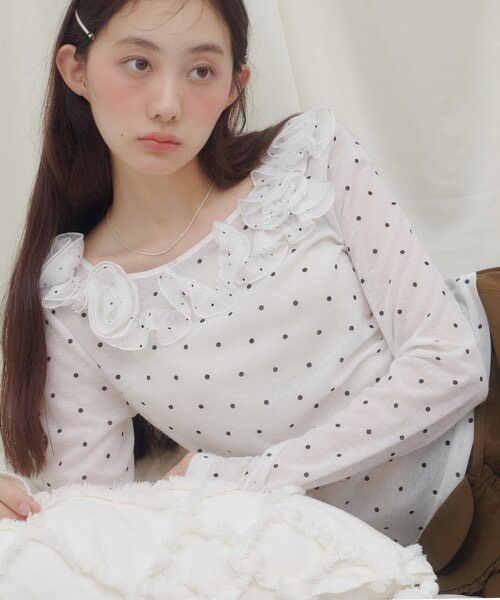 S__45072587_0
