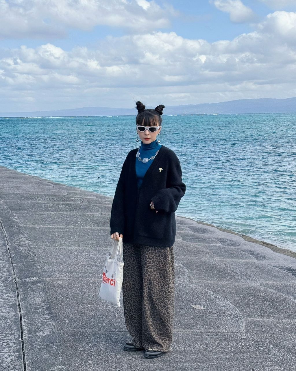 IMG_0433-1735220096327