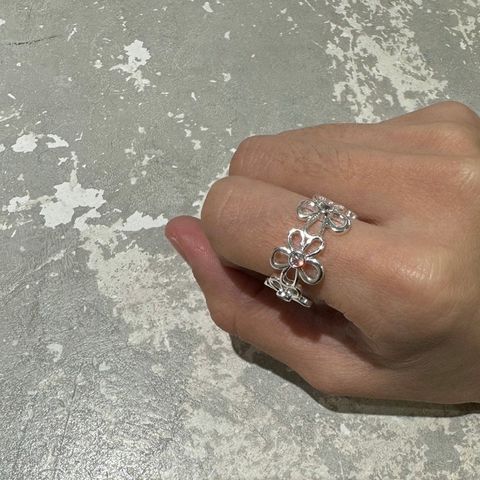 IMG_3358-1744039142095