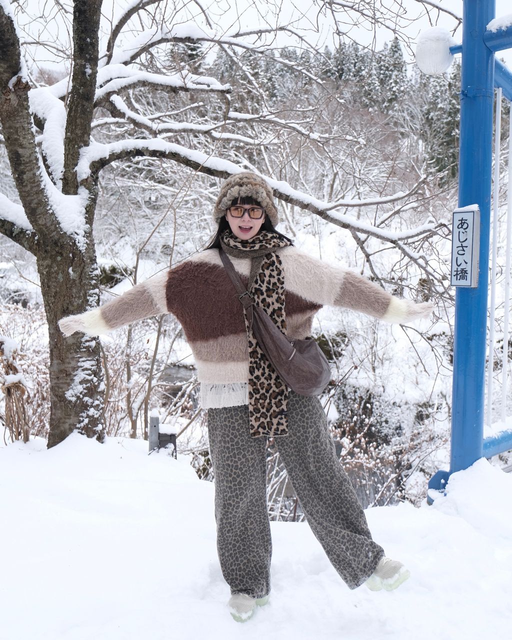 image_EDEC82C5-D0A9-4497-B213-16BD177F4F17_1766582333