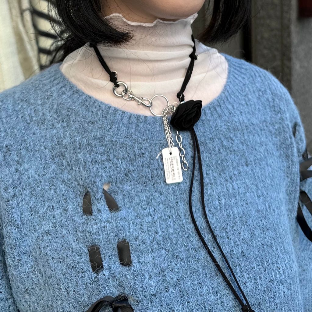 image_B04D8325-F161-4ADE-9220-0DE0A7C8265D_1767875915