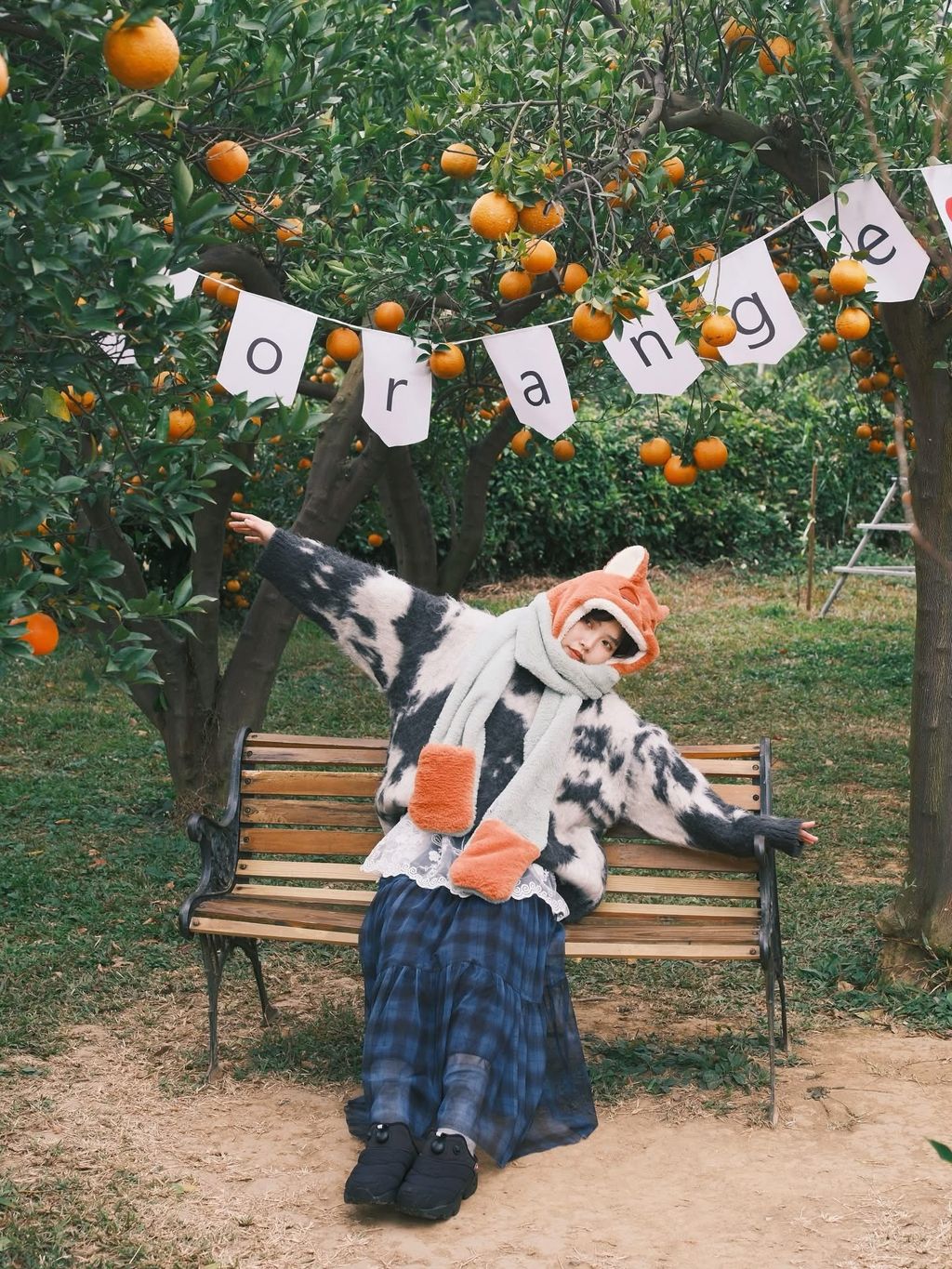 image_0675BB07-0EB5-45B8-B1B6-E6E8211FB5A4_1769837930