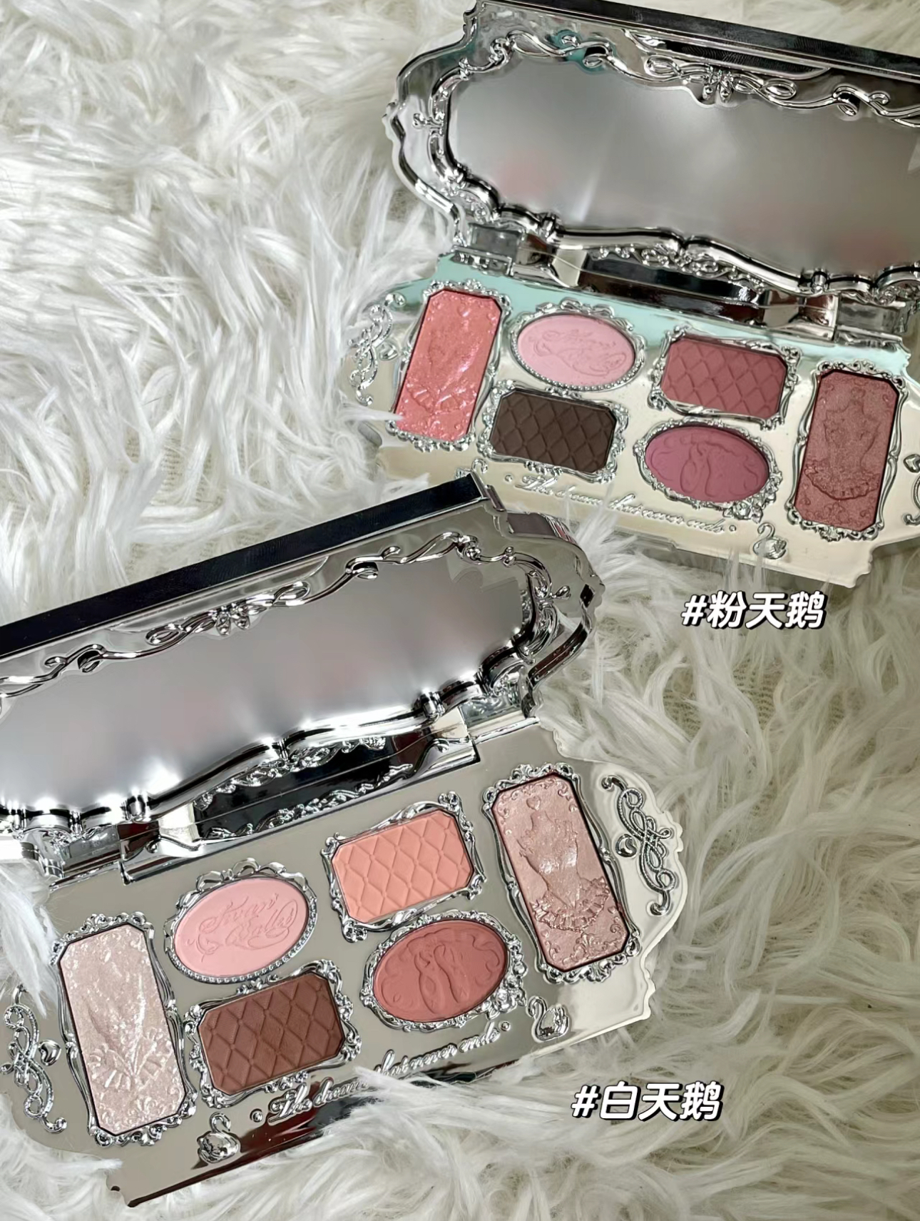 IMG_1644-1715425487501